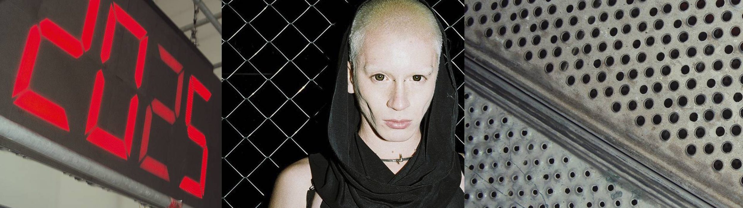 optimized_Sin título-2